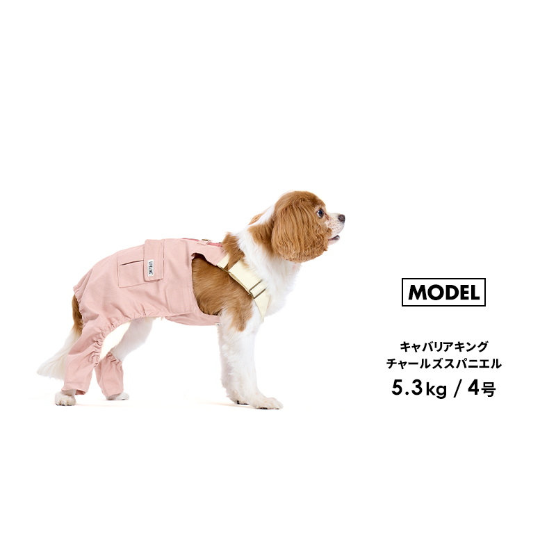 【ミルアウトドアキャンプオーバーオール1-5号2L-3L】ドッグウェア 小型犬 犬 服 アウトドア キャンプ 犬服 ペット用品 LIFELIKE［返品不可・サイズ交換可］｜life-like｜16