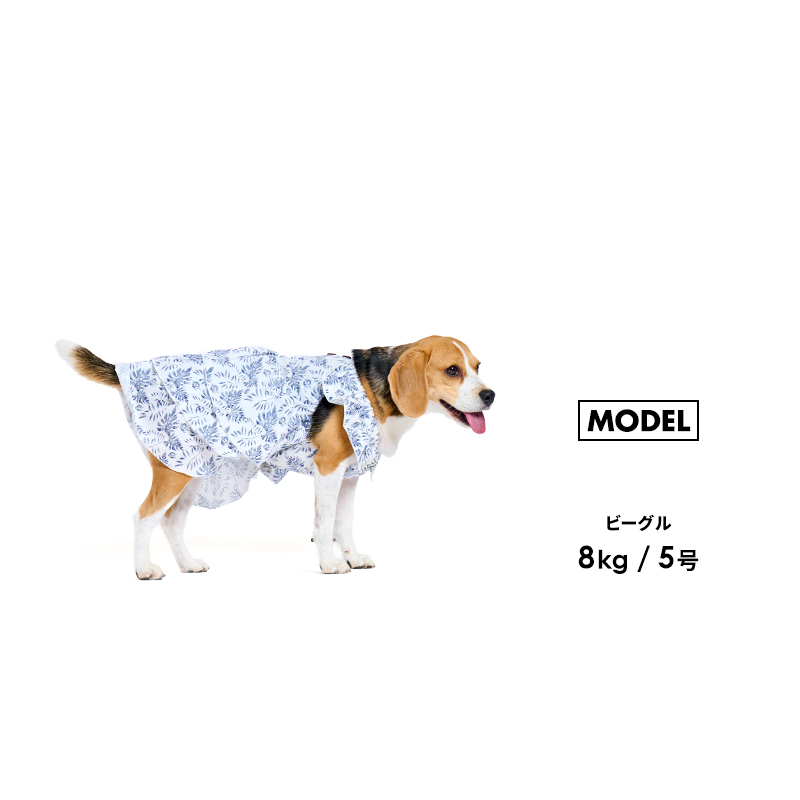 リゾートワンピース1-5号2L-3L ドッグウェア ワンピース フリフリ 犬