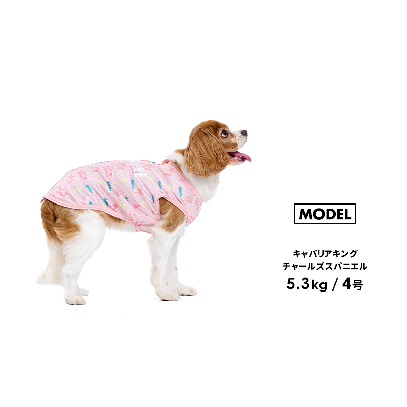 LIFELIKE 【COOLオーシャンタンク1-5号2L-3LFB】ドッグウェア
