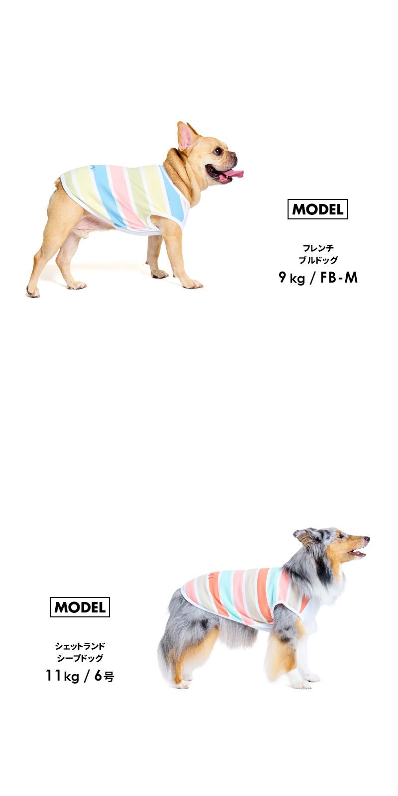 LIFELIKE（ライフライク） マルチボーダーロゴタンク6-8号 ドッグ