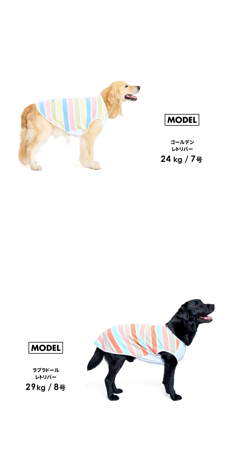 LIFELIKE（ライフライク） マルチボーダーロゴタンク6-8号 ドッグ