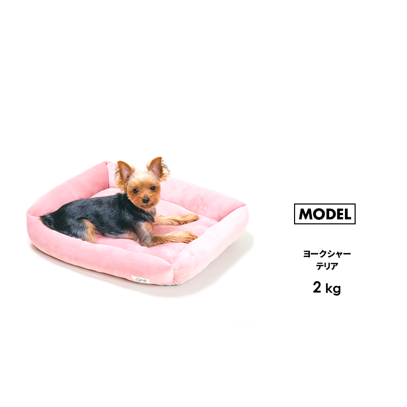 LIFELIKE　キューブベッド2個セット LIFELIKE（ライフライク） ソフトスクエアベッド 犬ベッド 猫ベッド