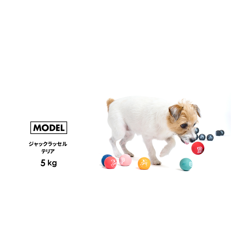 ラテックスカラーボール 犬 グッズ おもちゃ 犬のおもちゃ ストレス