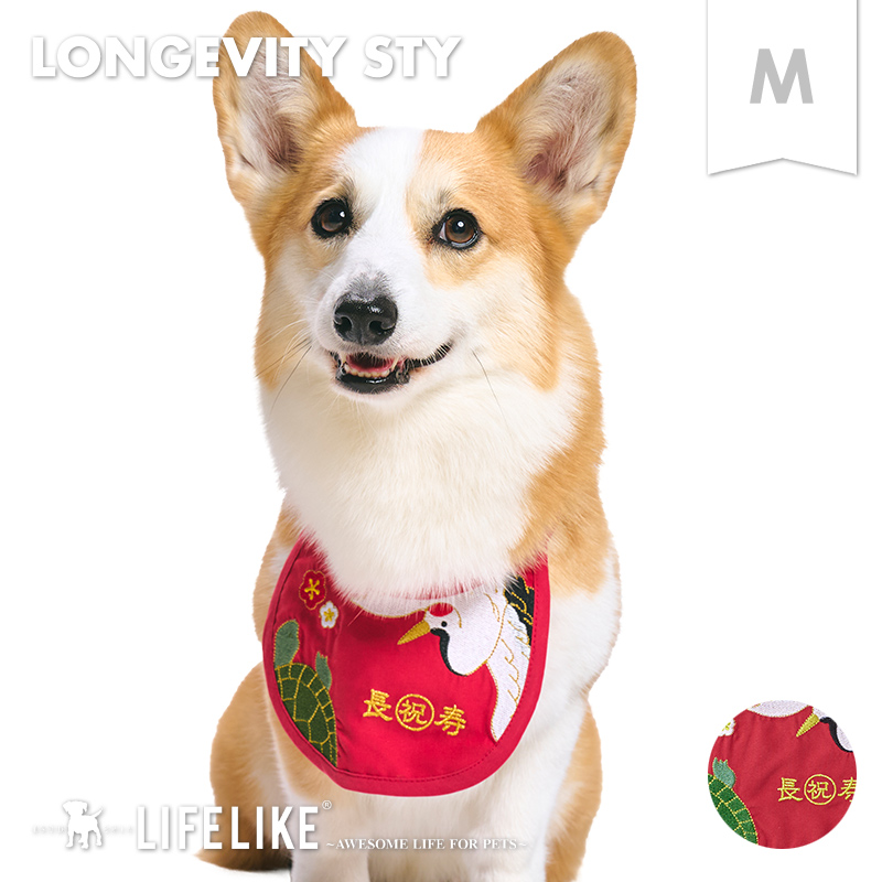 LIFELIKE（ライフライク） 還暦スタイM 還暦 還暦祝い お祝い イベント