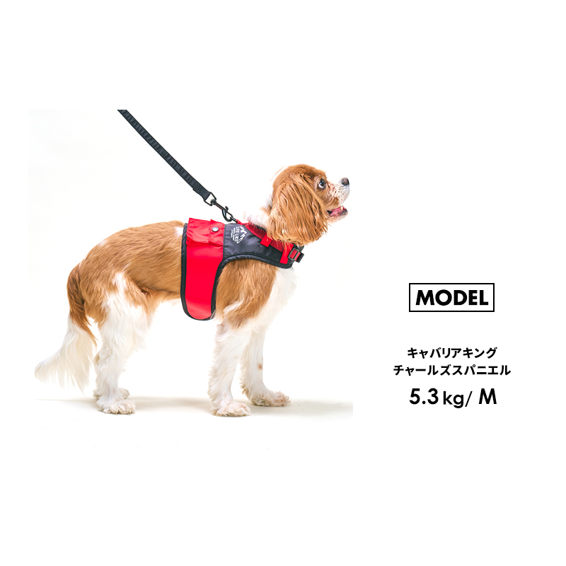 LIFELIKE（ライフライク） OUTDOORマウンテンハーネスL ハーネス 犬