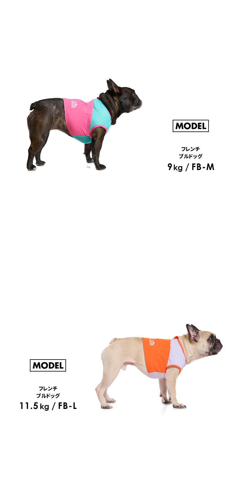 LIFELIKE（ライフライク） ICEビタミンカラーベスト5号FB ドッグウェア