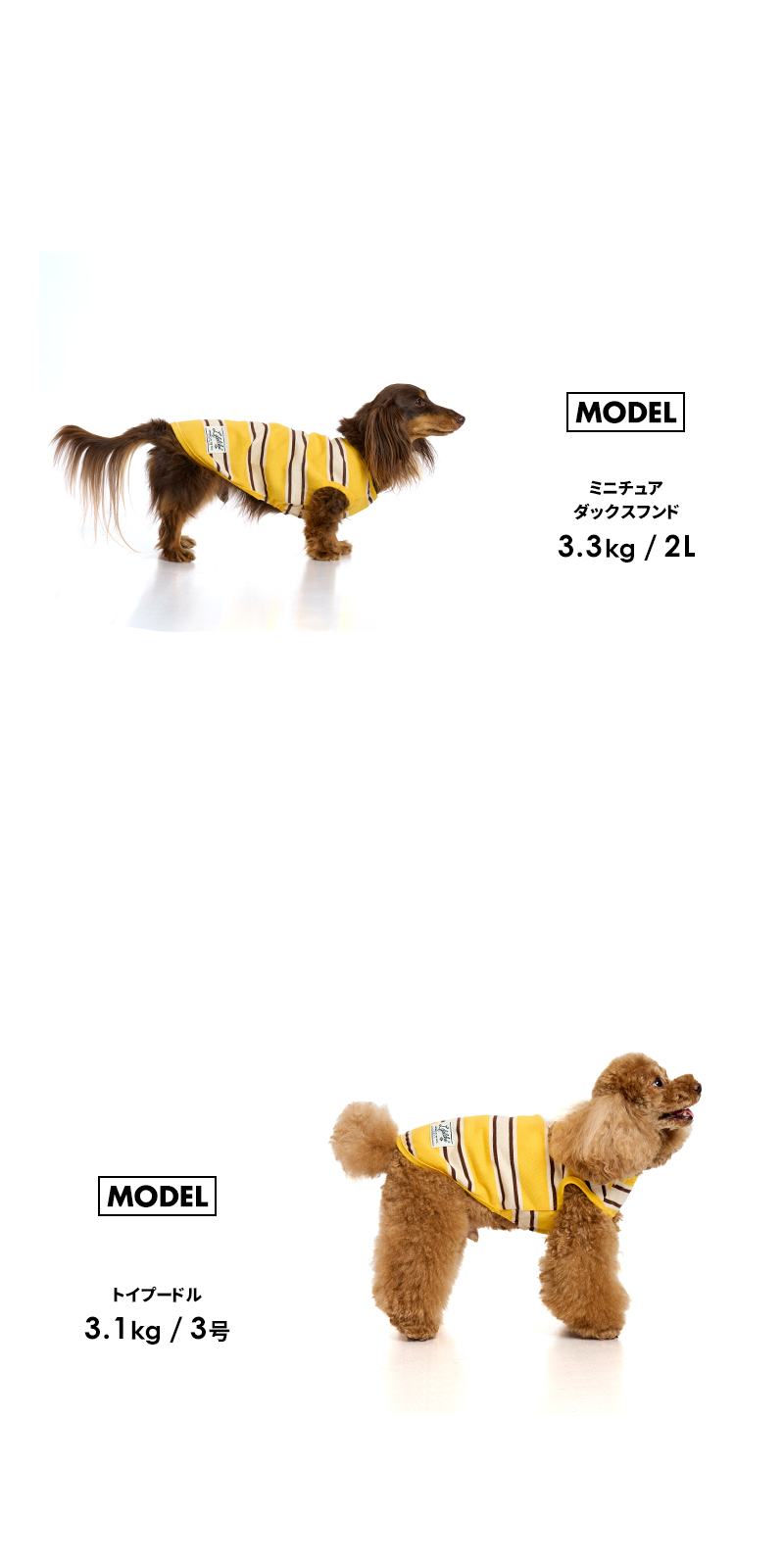 ワンちゃん　タンクトップ　3号　新品未使用　犬用　ブルーイエロー　ボーダー 楽天市場】犬服【G-snap】無地 シンプルボーダー ブラック