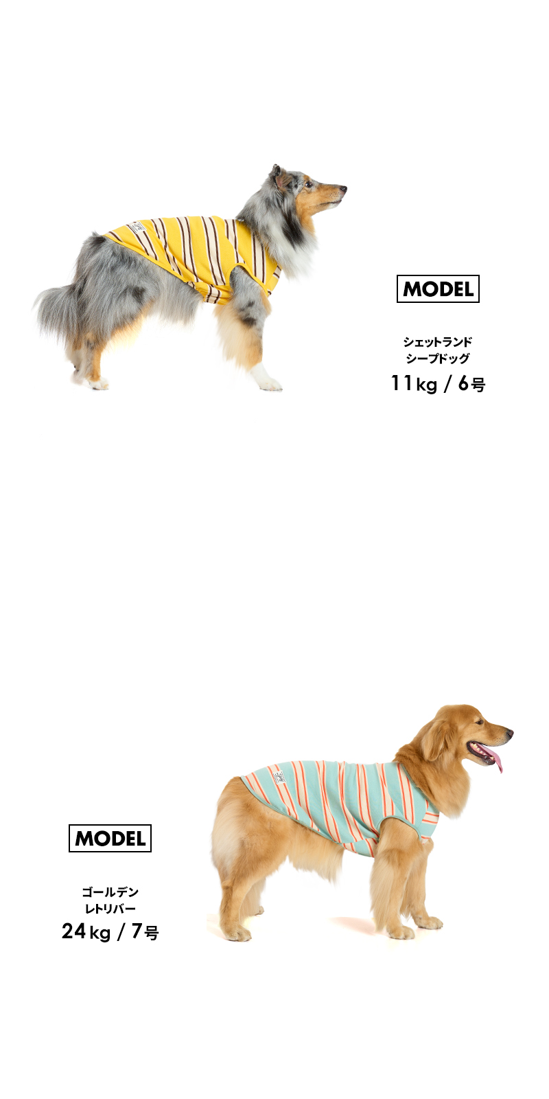 花柄犬型バンク WOLFGANG ウルフギャング 犬用 首輪 DarkFloral COLLAR Sサイズ 超小型