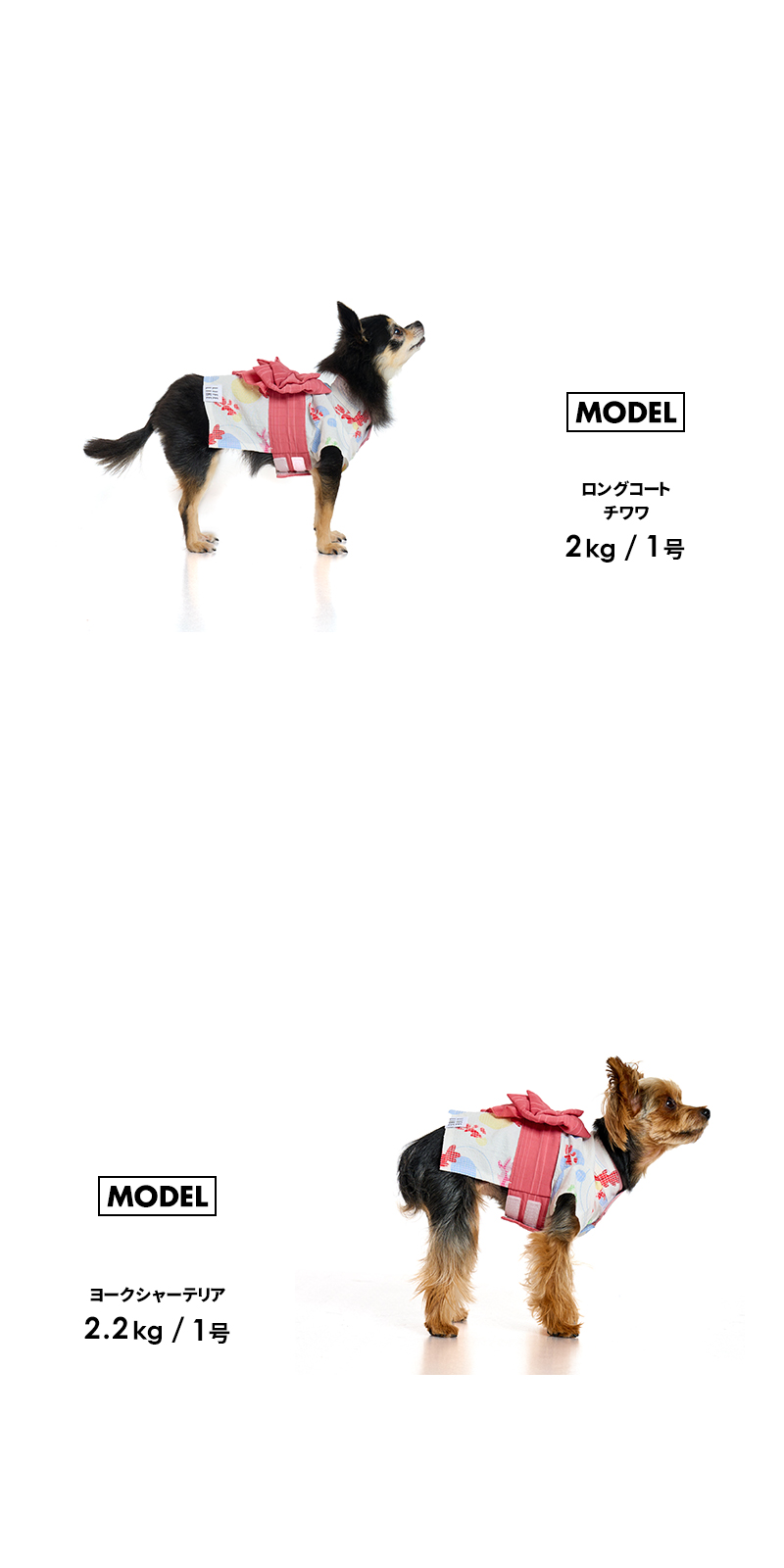 LIFELIKE 【縁日浴衣1-4号2L-3L】ドッグウェア 浴衣 小型犬 中型