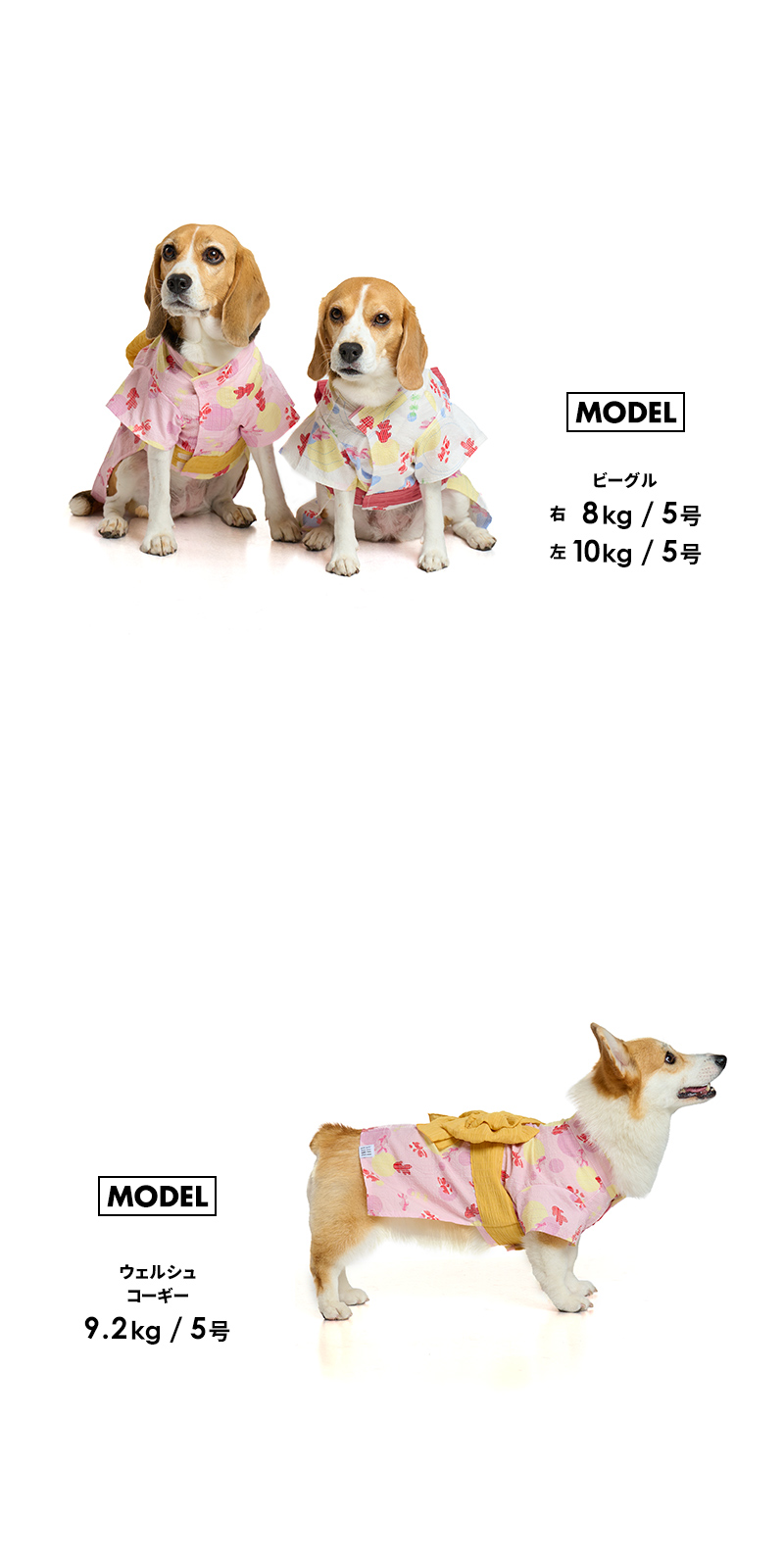 犬の浴衣 iDog 華やか大輪帯浴衣 アイドッグ-犬猫用品通販 IDOG&ICAT