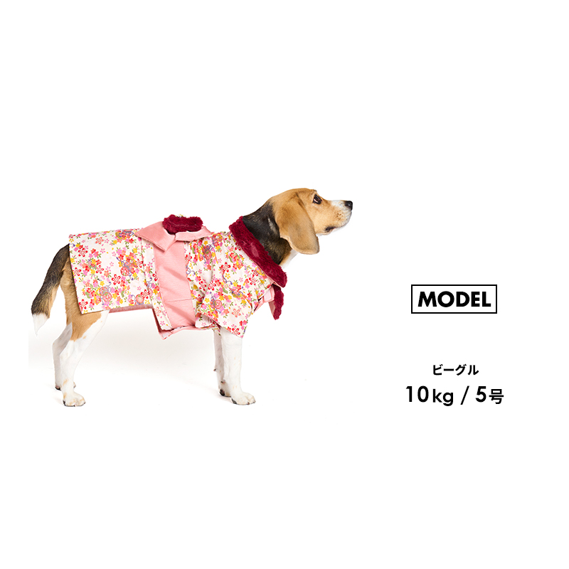 LIFELIKE 【新春晴れ着1-4号】犬 服 晴れ着 着物 七五三 お正月