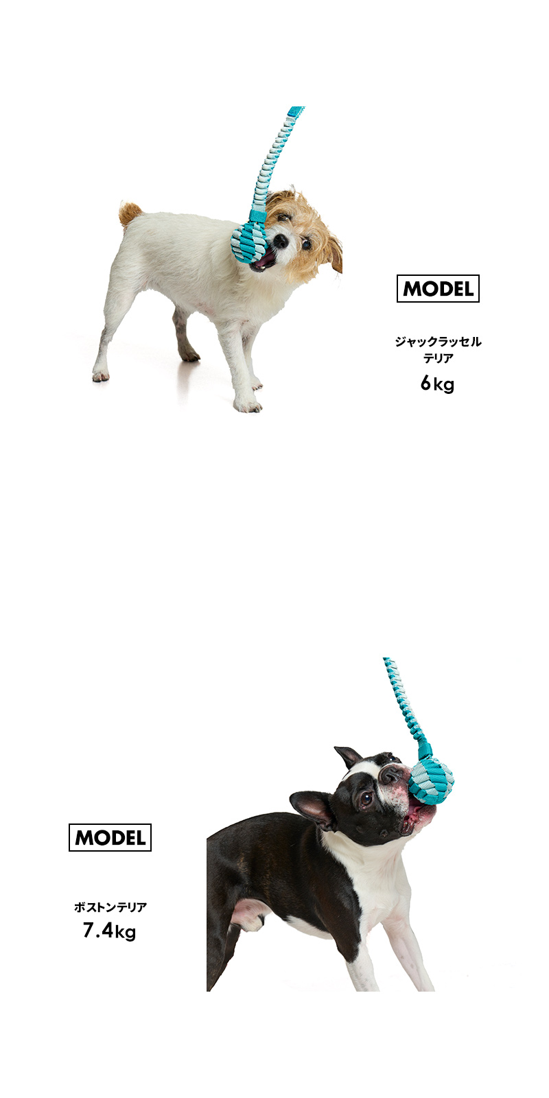 LIFELIKE（ライフライク） ストレッチタフテープボール おもちゃ 玩具