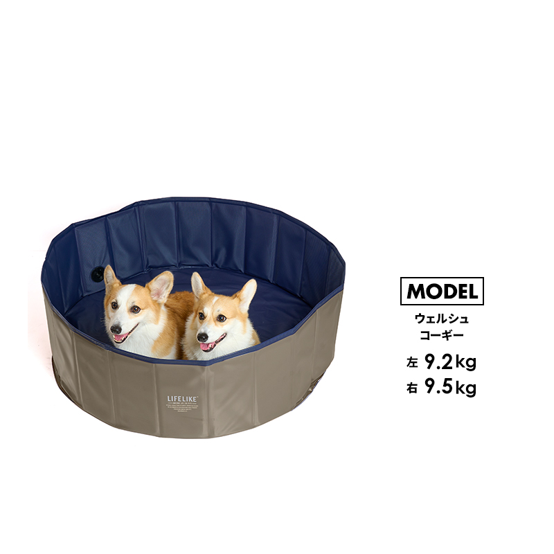 犬用プール LIFELIKEドッグプール | Cool goods（クールグッズ） | LIFE LIKE 【犬