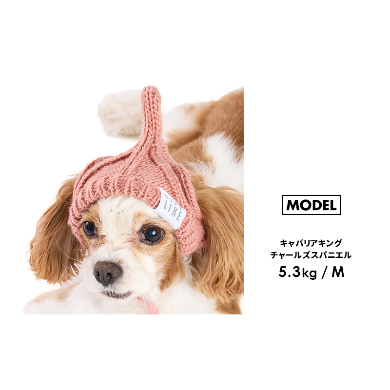 どんぐりニット帽S】犬 帽子 キャップ ニット帽 ニットキャップ