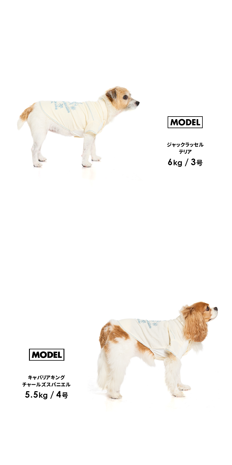 子犬兄弟 アロハシャツ I am I in fact 子犬兄弟 アロハシャツ - メルカリ