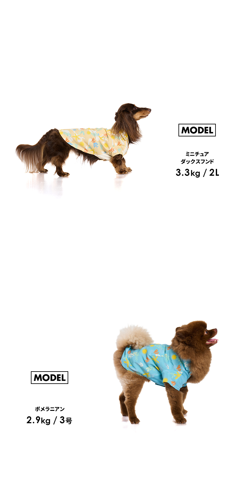 LIFELIKE（ライフライク） マリンパターンアロハシャツ1-4号2L-3L