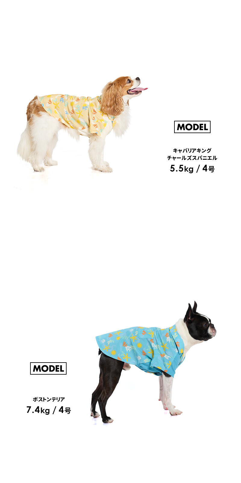 LIFELIKE（ライフライク） マリンパターンアロハシャツ5号 ドッグ