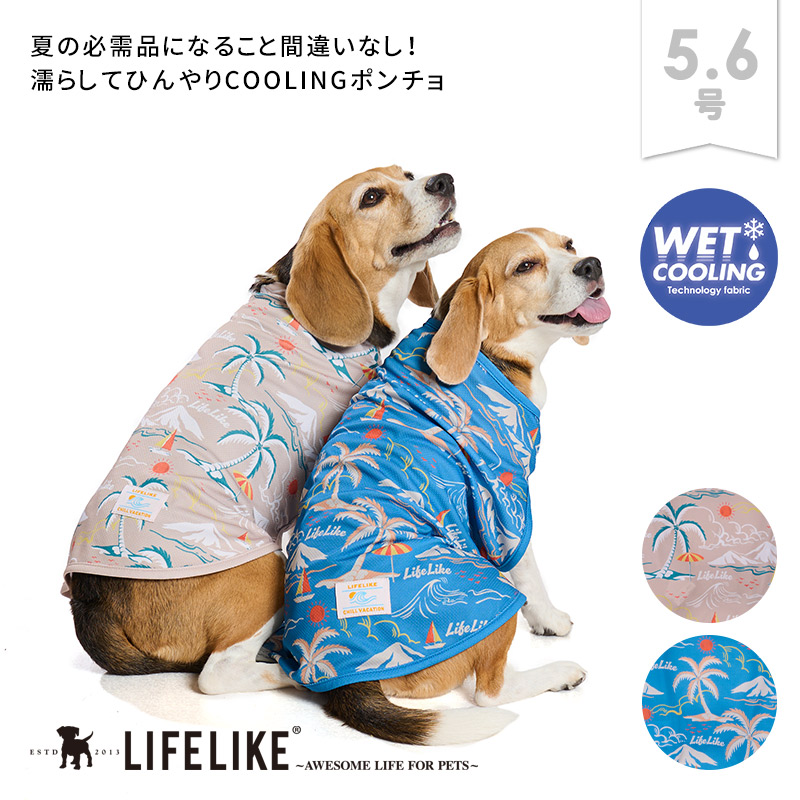LIFELIKE（ライフライク） ハッピーボックススペシャル 犬 服 福袋