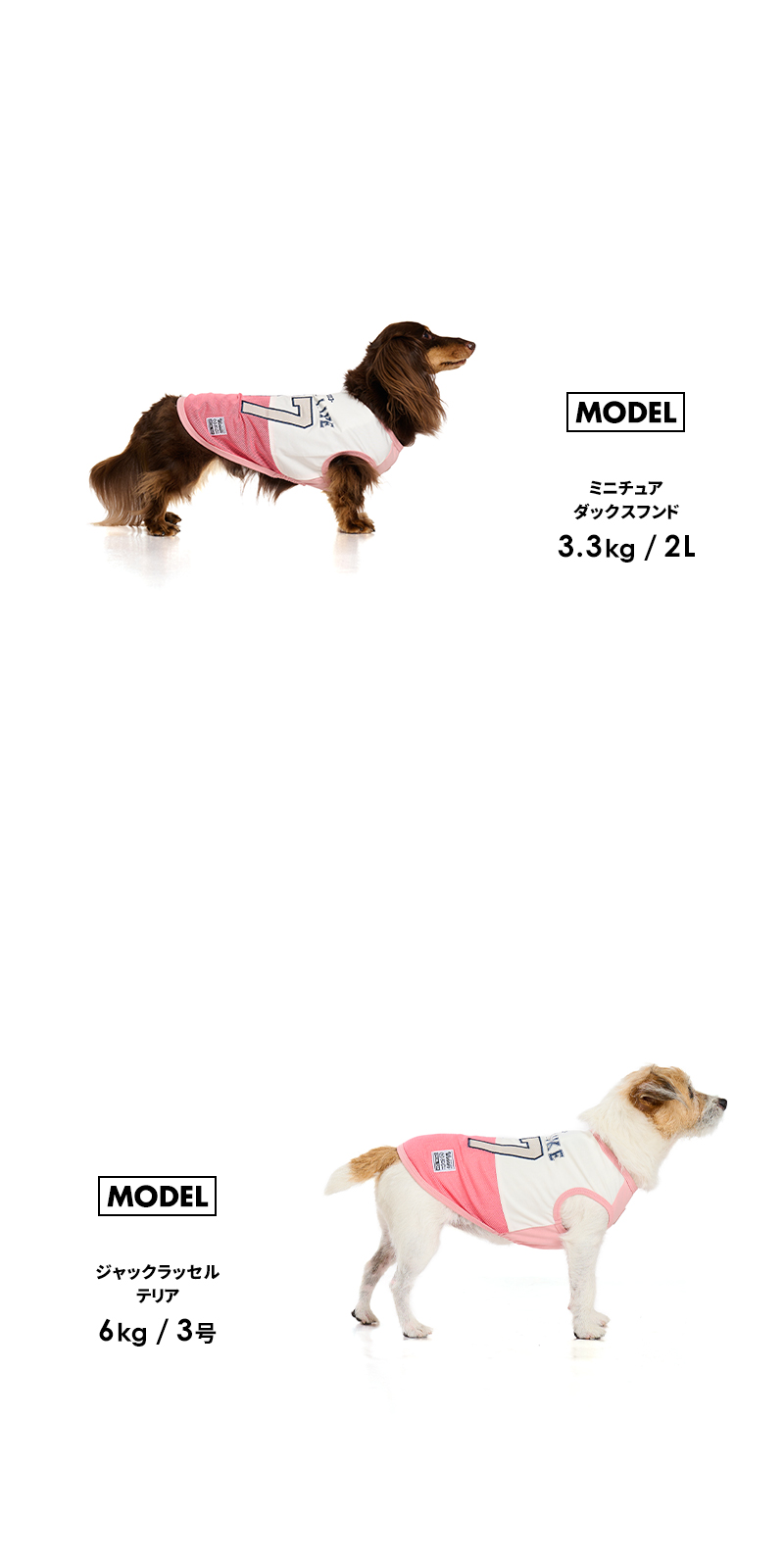 LIFELIKE（ライフライク） ICE67タンク1-4号2L-3L ドッグウェア 小型犬