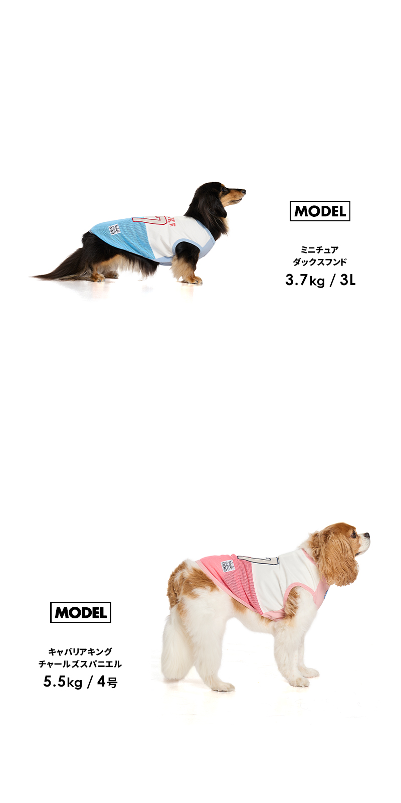LIFELIKE（ライフライク） ICE67タンク1-4号2L-3L ドッグウェア 小型犬