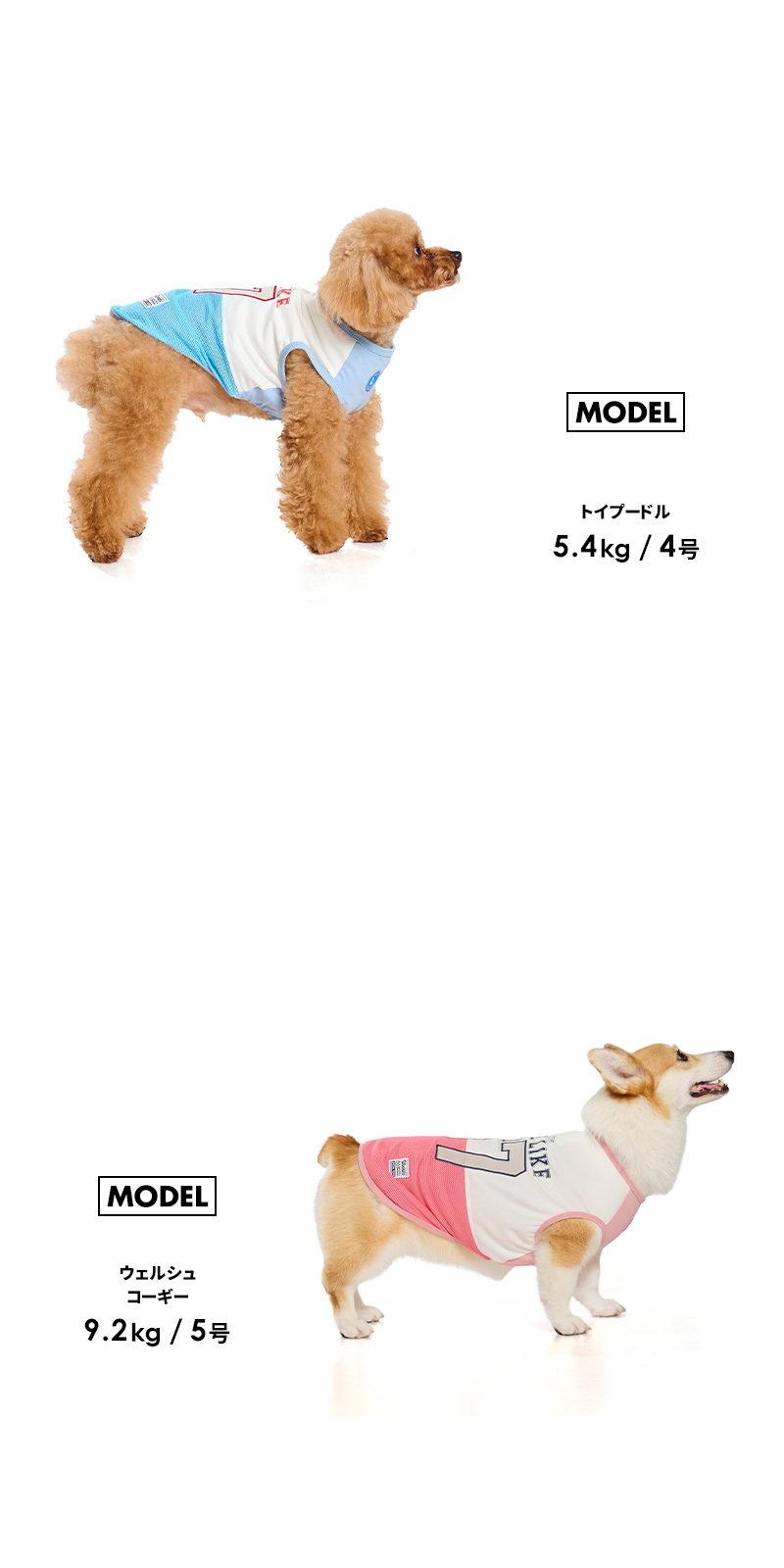 LIFELIKE（ライフライク） ICE67タンク1-4号2L-3L ドッグウェア 小型犬