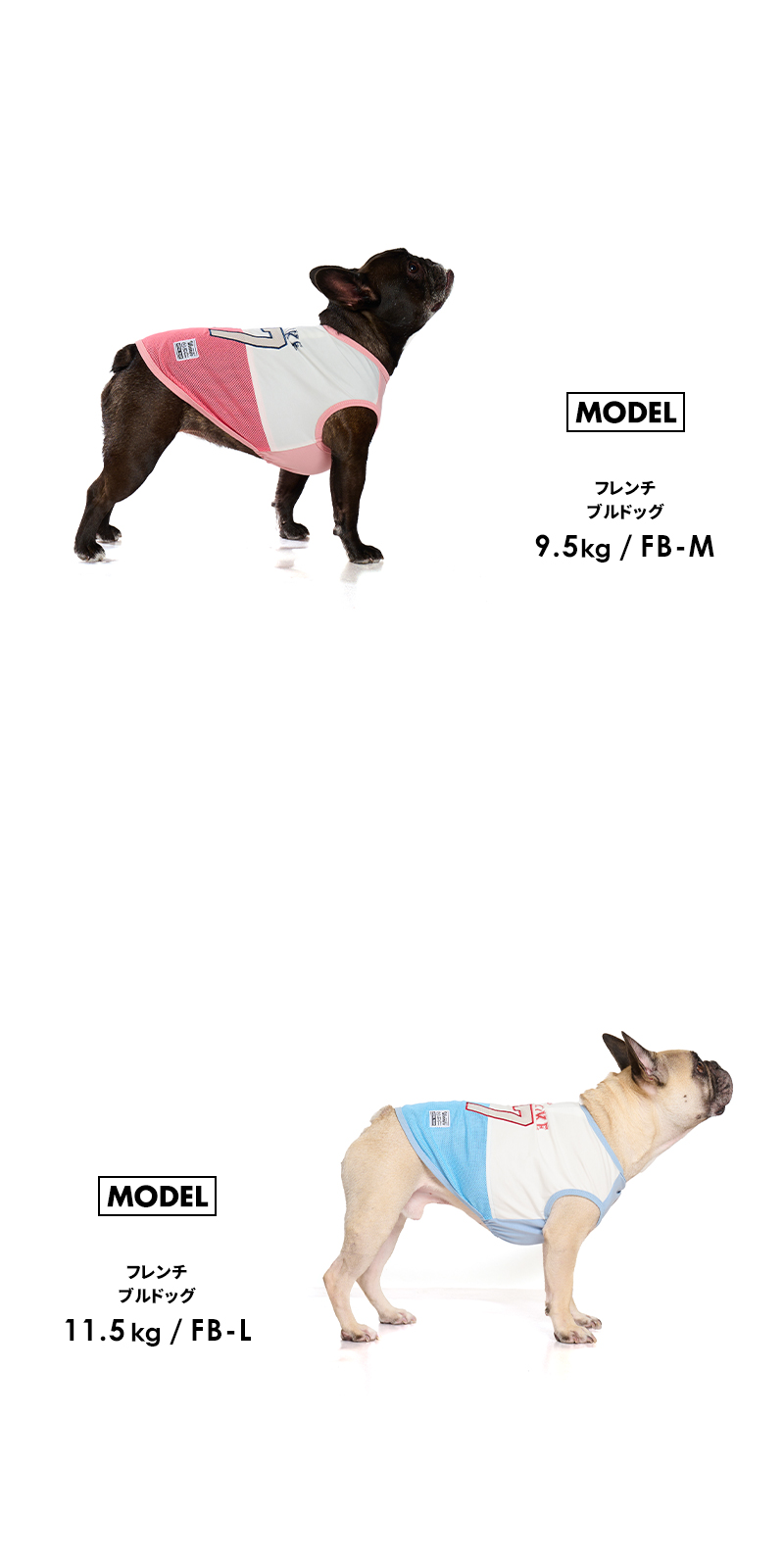 LIFELIKE（ライフライク） ICE67タンク1-4号2L-3L ドッグウェア 小型犬