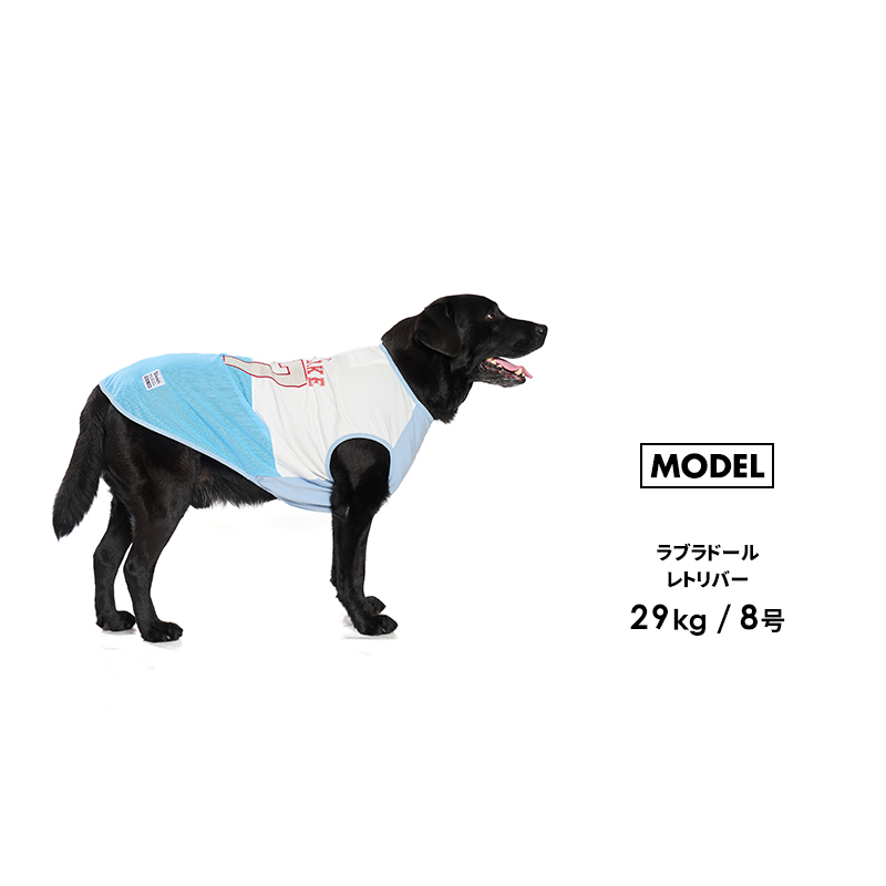 LIFELIKE（ライフライク） ICE67タンク1-4号2L-3L ドッグウェア 小型犬