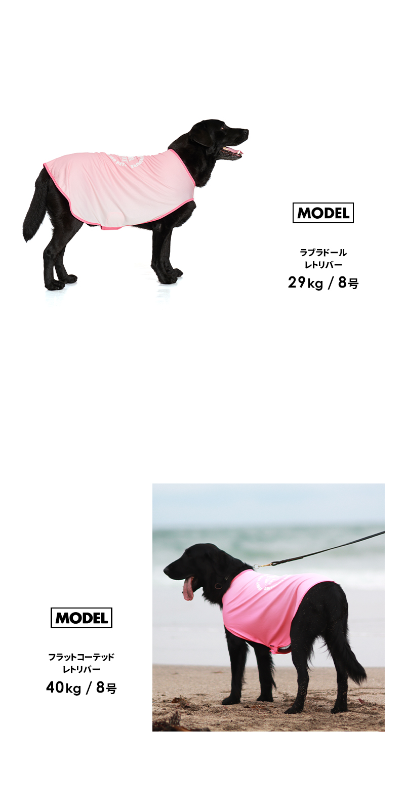 LIFELIKE（ライフライク） COOLINGカラーチェンジポンチョ7-8号 ドッグ