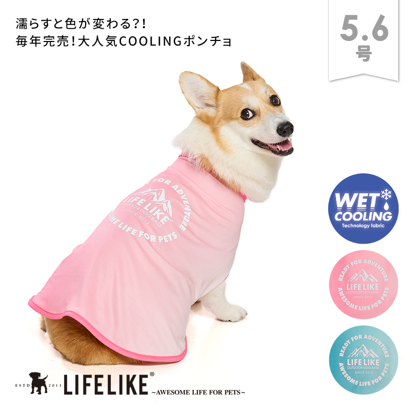 LIFELIKE（ライフライク） ハッピーボックススペシャル 犬 服 福袋