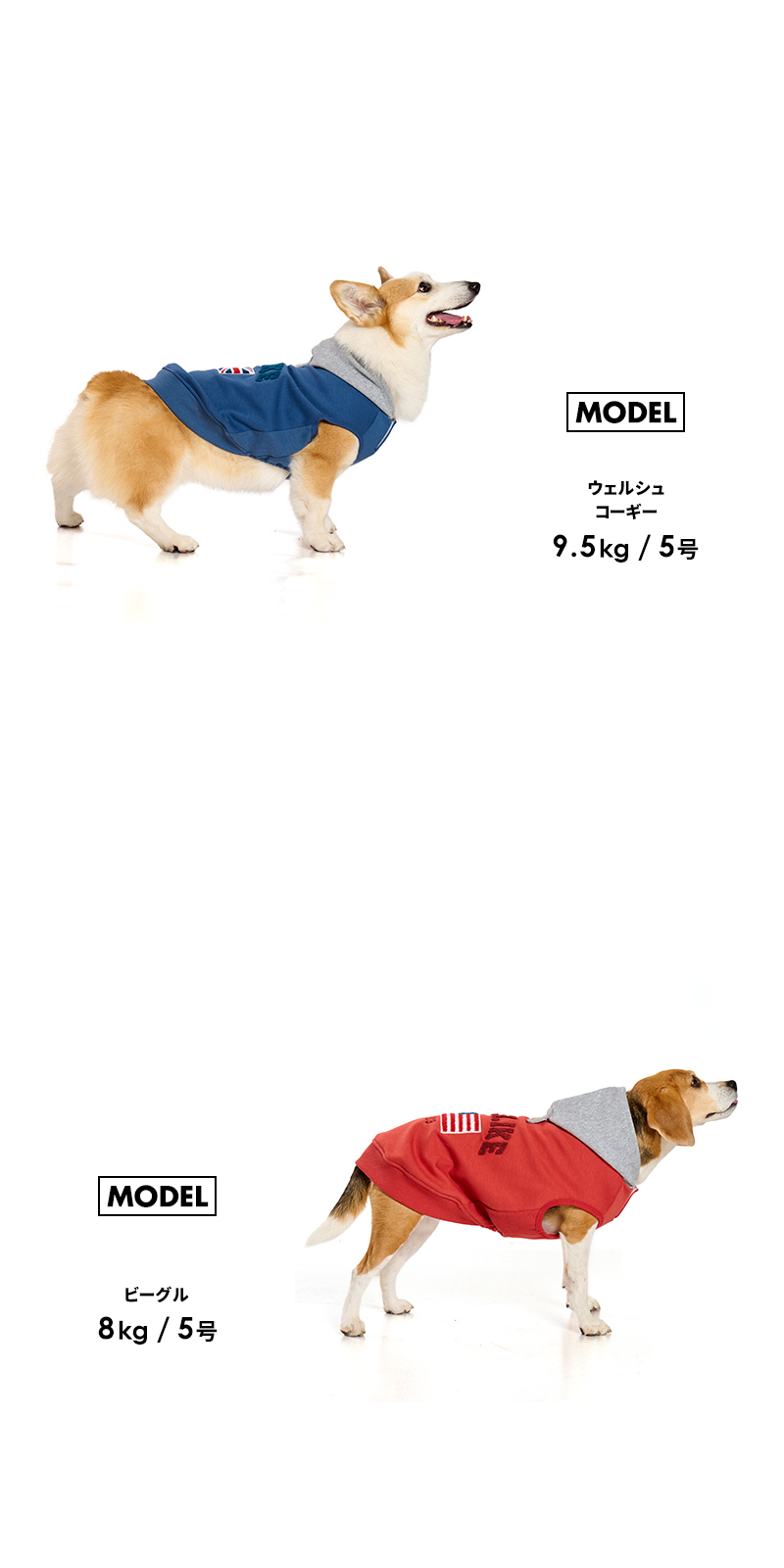 LIFELIKE（ライフライク） ナショナルフラッグフーディー1-4号2L-3L 犬