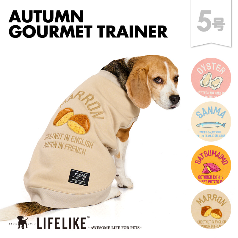 LIFELIKE（ライフライク） オータムグルメトレー ナー5号 犬服 犬 服