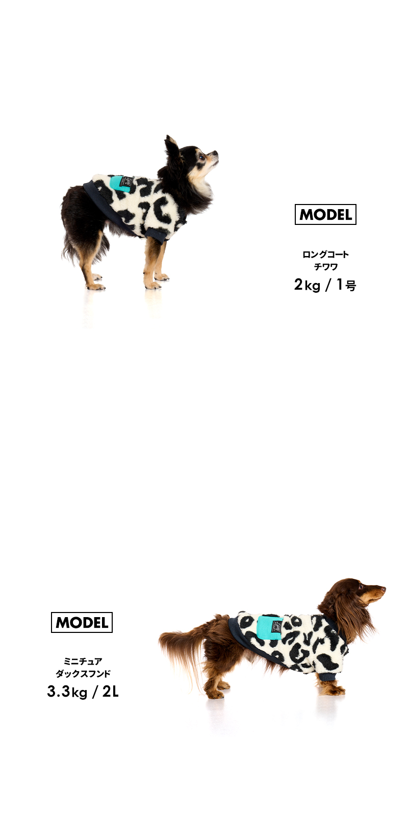 イヌ出品 普通丈イヌ柄プリントボクサーブリーフ(前あき） メンズ | イオン