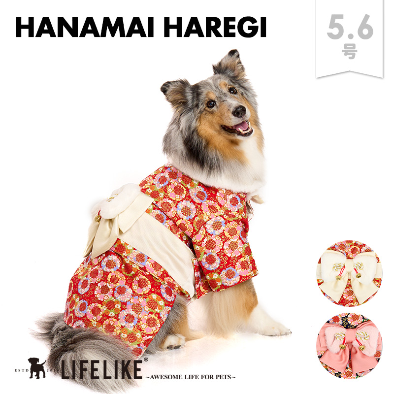 LIFELIKE（ライフライク） 花舞晴れ着5-6号 犬 着物 袴 中型犬 お正月