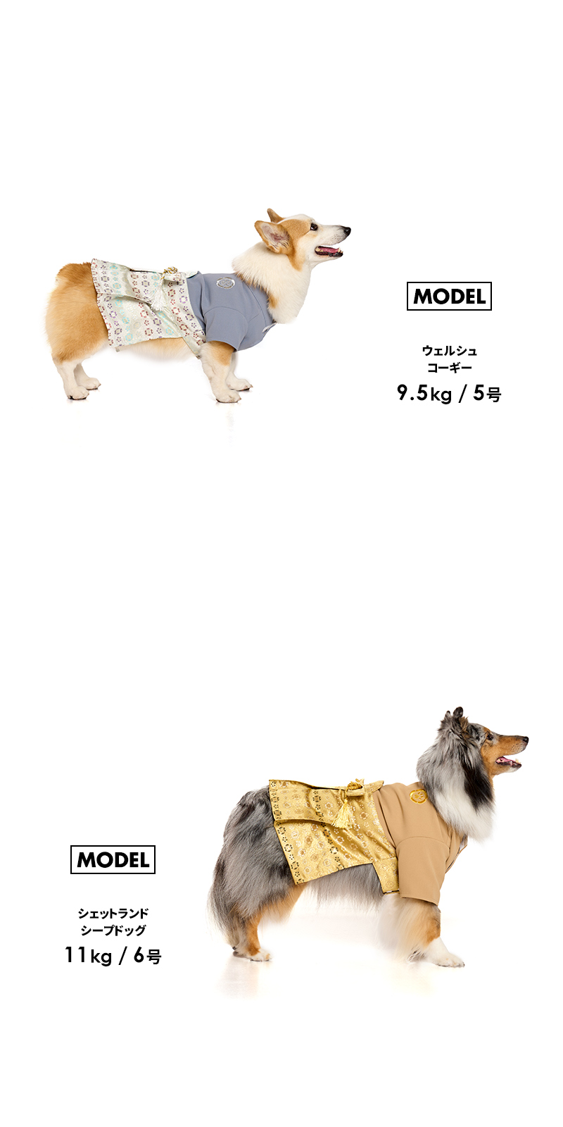LIFELIKE（ライフライク） 雅袴5-6号 犬 着物 袴 中型犬 お正月 七五三