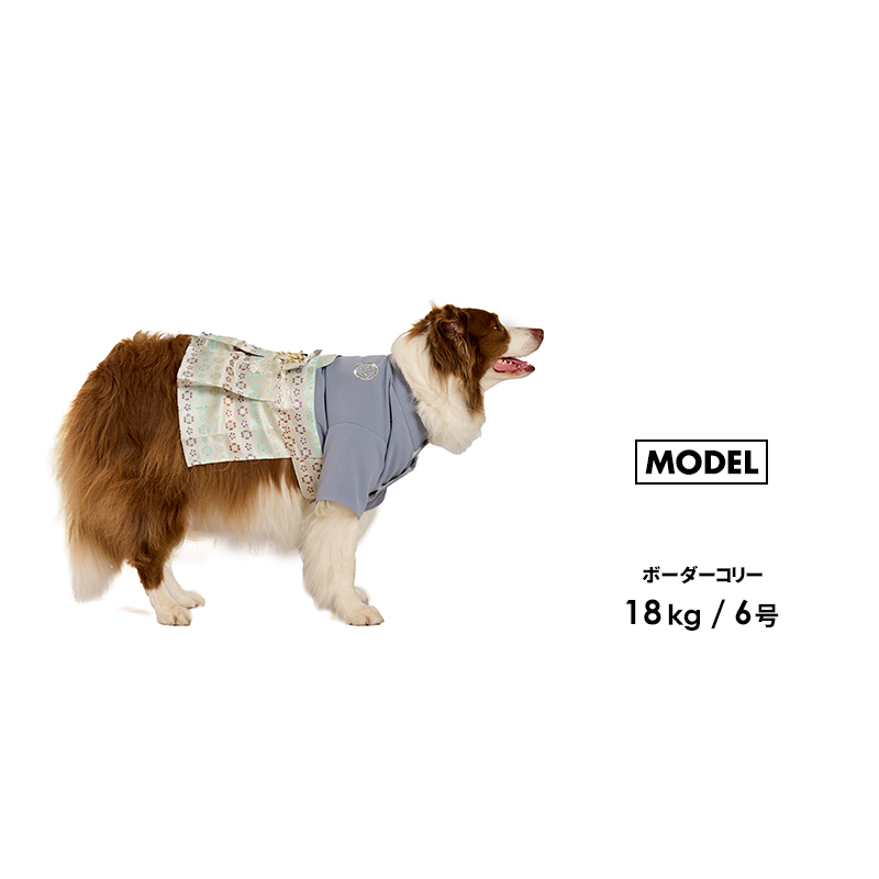 LIFELIKE（ライフライク） 雅袴5-6号 犬 着物 袴 中型犬 お正月 七五三