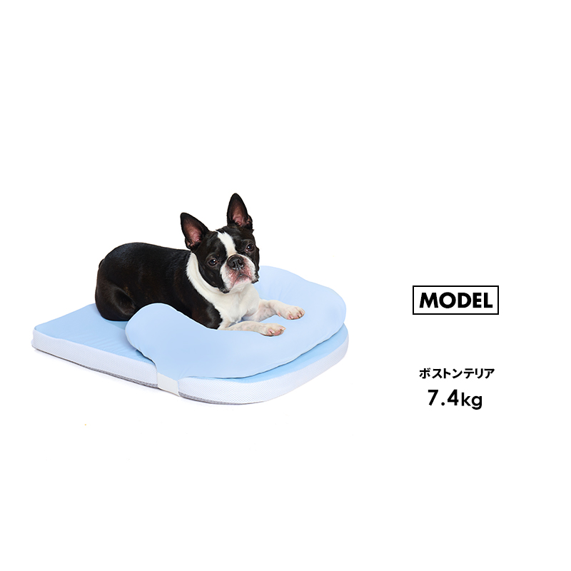 LIFELIKE（ライフライク） ピロー付きファイバーベッド ベッド 犬 猫