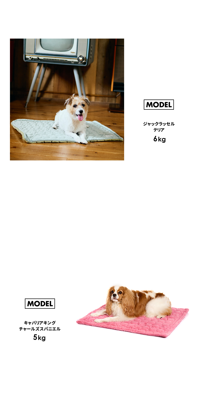 LIFELIKE（ライフライク） ナチュラルリバーシブルマット 犬 カフェ