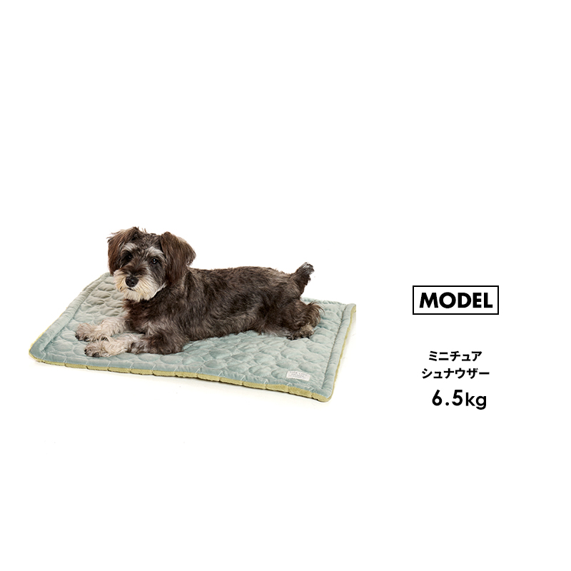 LIFELIKE（ライフライク） ナチュラルリバーシブルマット 犬 カフェ