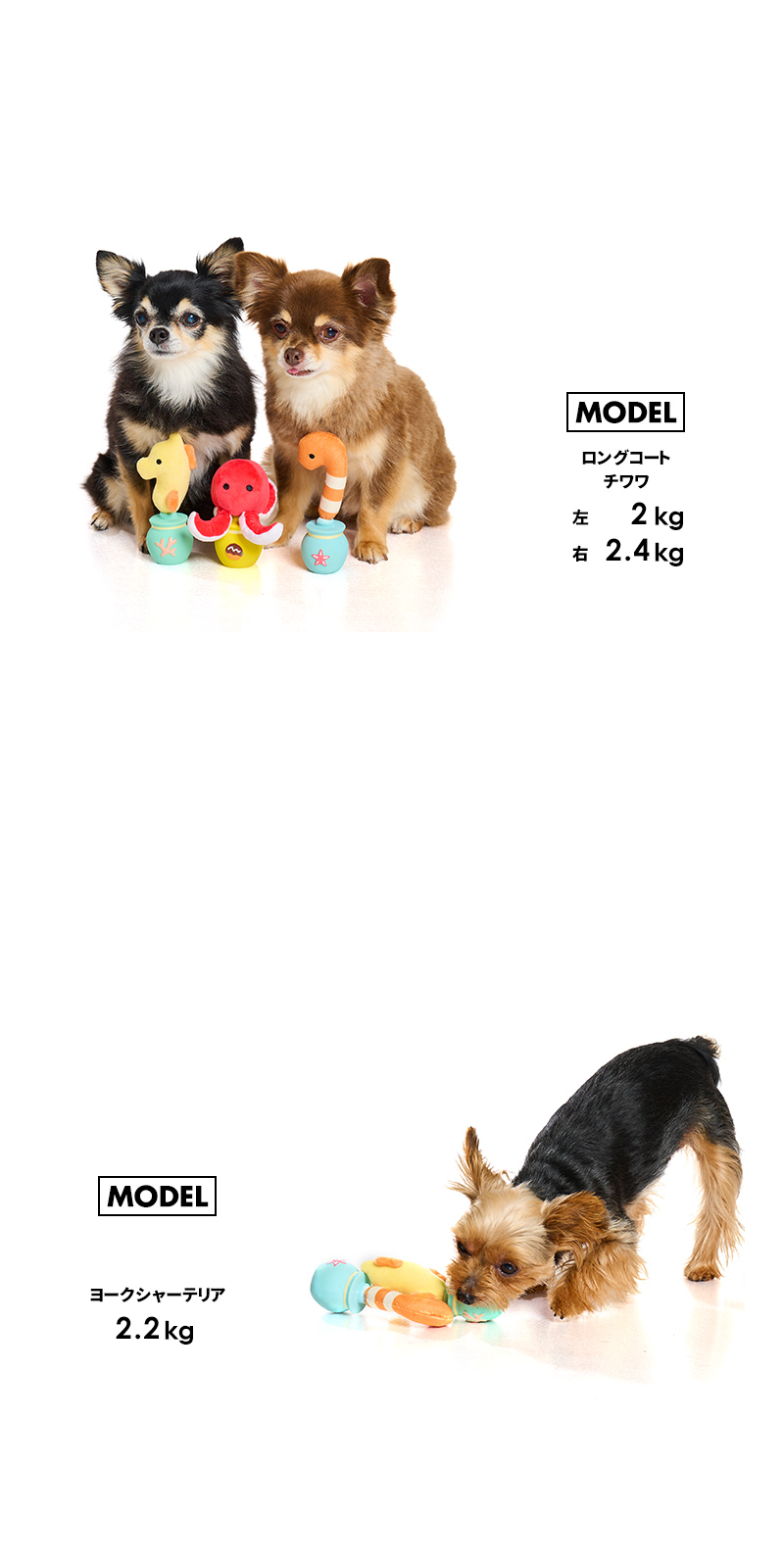 LIFELIKE（ライフライク） 海のかくれんぼラテトイ 犬 おもちゃ