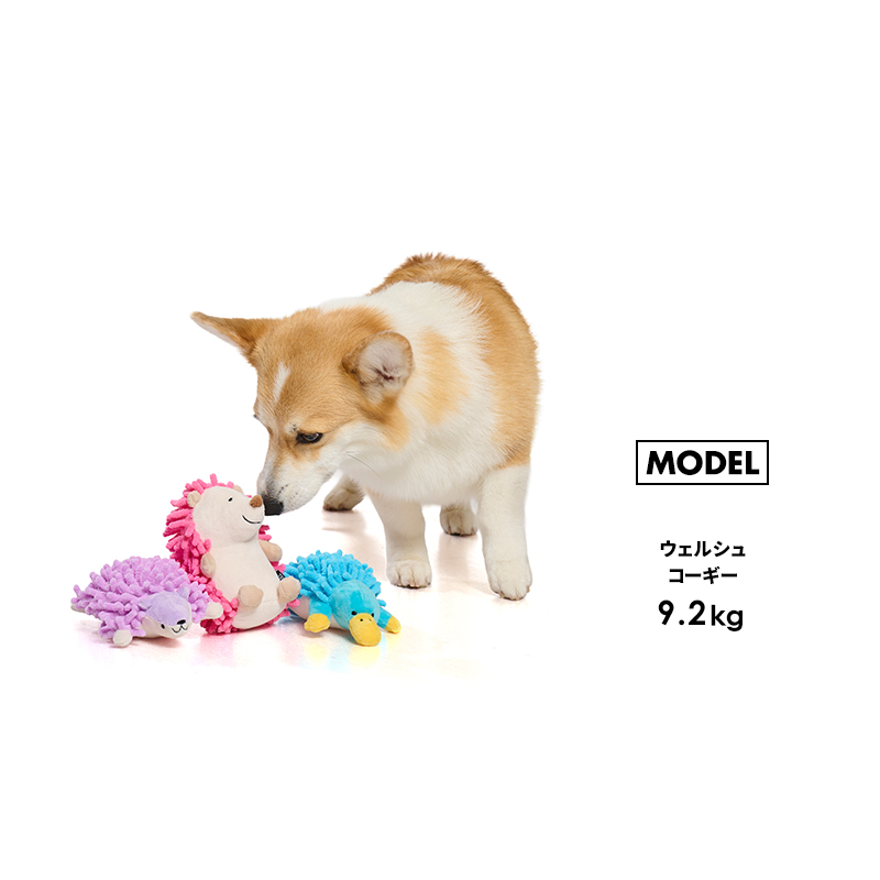 ピンシャー ぬいぐるみの商品一覧 通販 - Yahoo!ショッピング