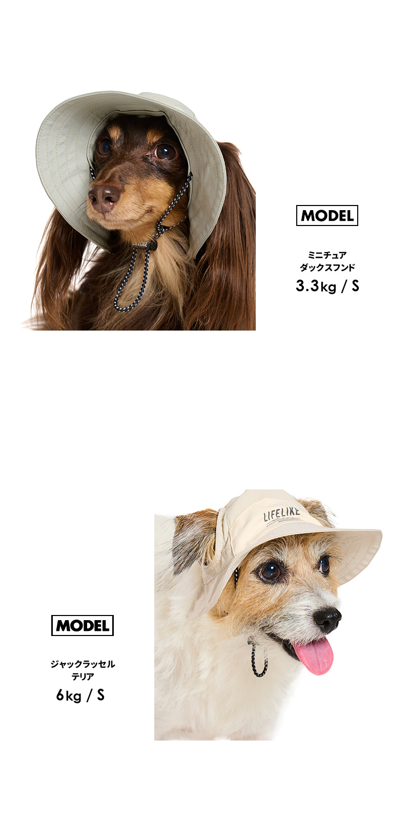 LIFELIKE（ライフライク） COOLINGミルアウトドアハットXL 犬 帽子