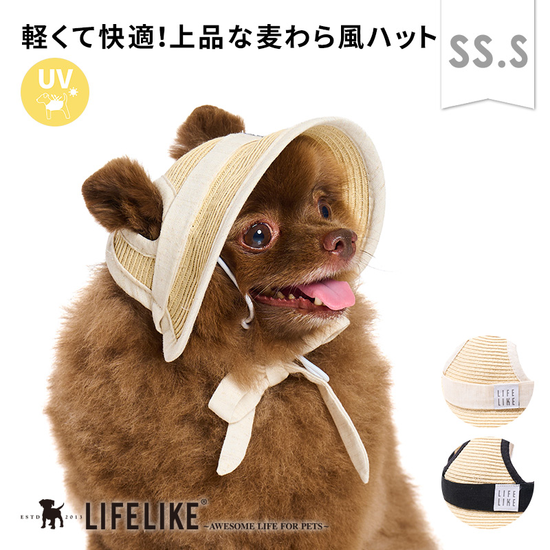 weekends 麦わら帽子を被った少年と愛犬テリアのブロチ デザイン選べる‼️犬用麦わら帽子 | shop ann