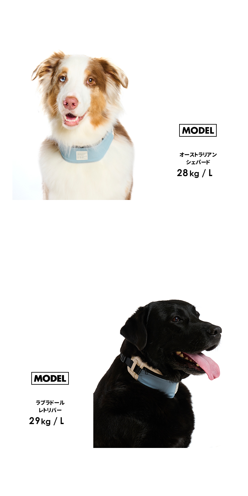 LIFELIKE（ライフライク） ICEミルアウトドアバンダナM 犬 クール