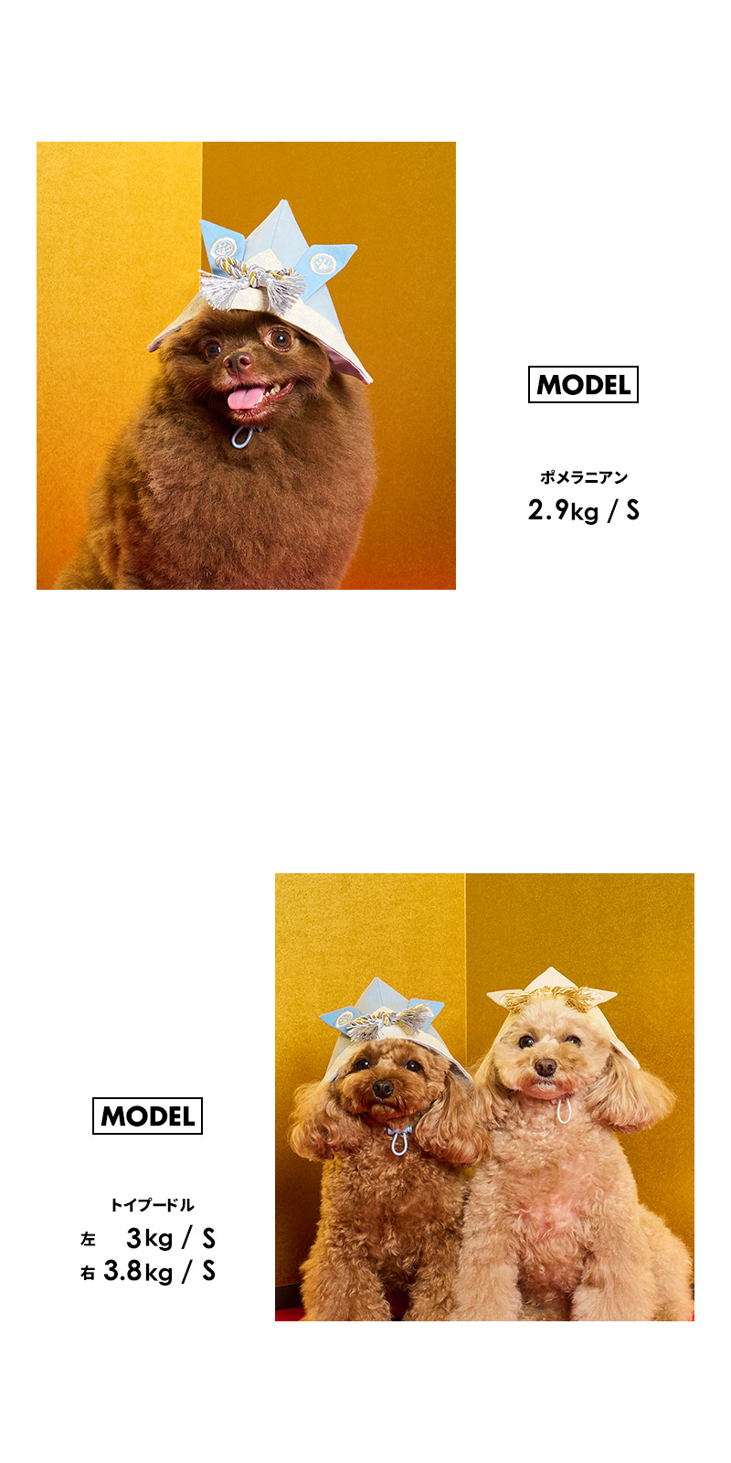 LIFELIKE（ライフライク） かぶとハットM 犬 犬用 帽子 かぶりもの