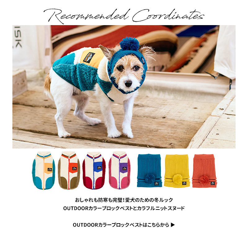 LIFELIKE（ライフライク） 【カラフルニットスヌードM】犬 被り物