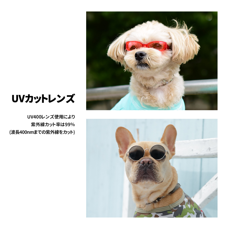 【D&C サングラス】サングラス 眼鏡 メガネ 小型犬 中型犬 インスタ