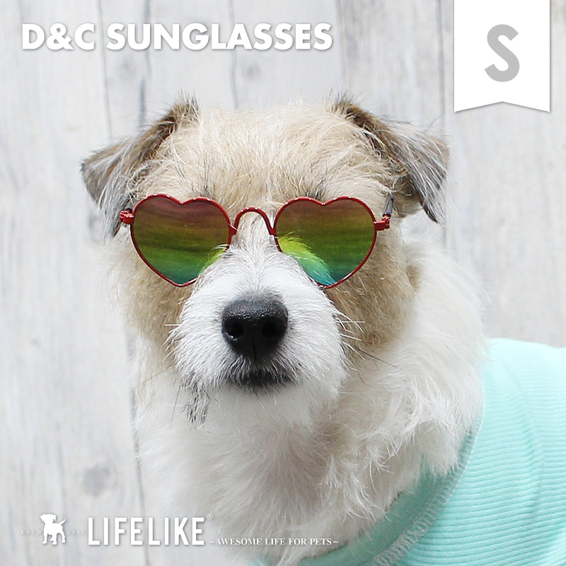 【D&C サングラス】サングラス 眼鏡 メガネ 小型犬 中型犬 インスタ映え お洒落 イベント 小道具 アクセサリー LIFELIKE