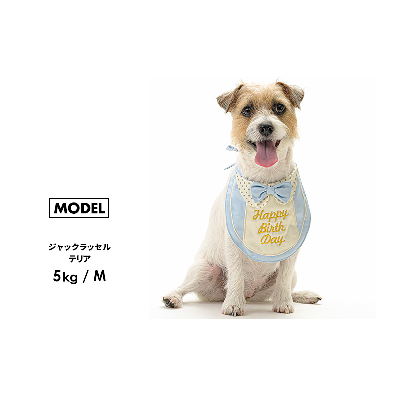 【プレミアムバースデースタイM】スタイ 犬 猫 小型犬 中型犬