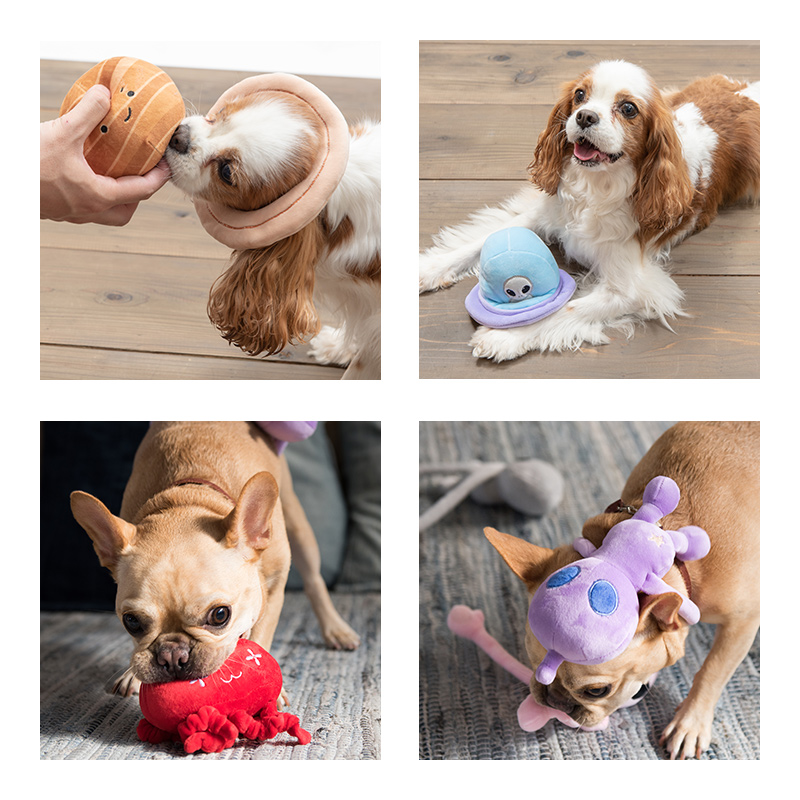    鮪 犬 おもちゃ 大型犬 中型犬 雑貨 まぐろ 誕生日 ギフト プレゼント 魚 大きい 鳴る リアル 犬屋 誕生日プレゼント ペット