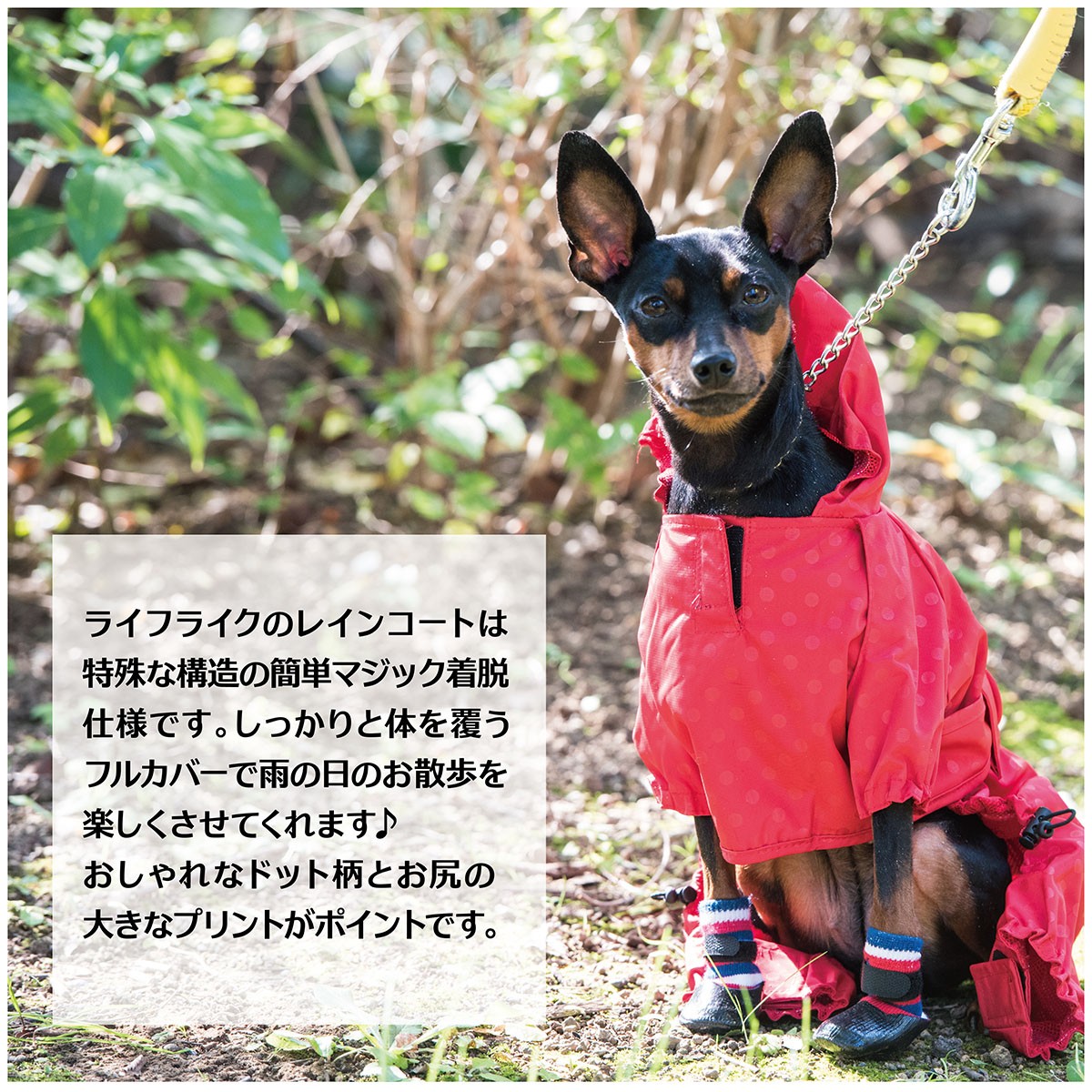 リフレクションレインコート2-4号】 犬 レインコート 雨 カッパ ドッグ